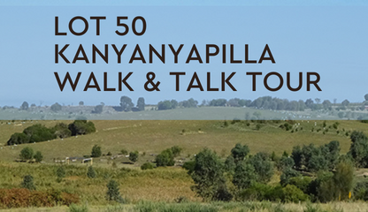 SA Lot 50 Kanyanyapilla  WALK and TALK Tour
